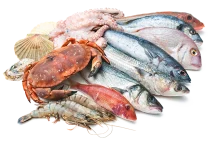 fish